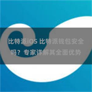 比特派iOS 比特派钱包安全吗？专家详解其全面优势