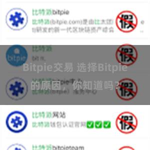 Bitpie交易 选择Bitpie的原因，你知道吗？