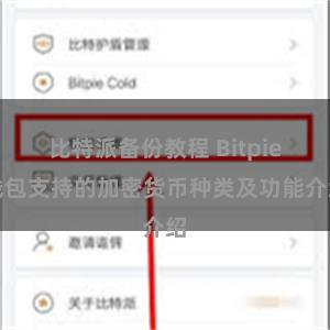 比特派备份教程 Bitpie钱包支持的加密货币种类及功能介绍